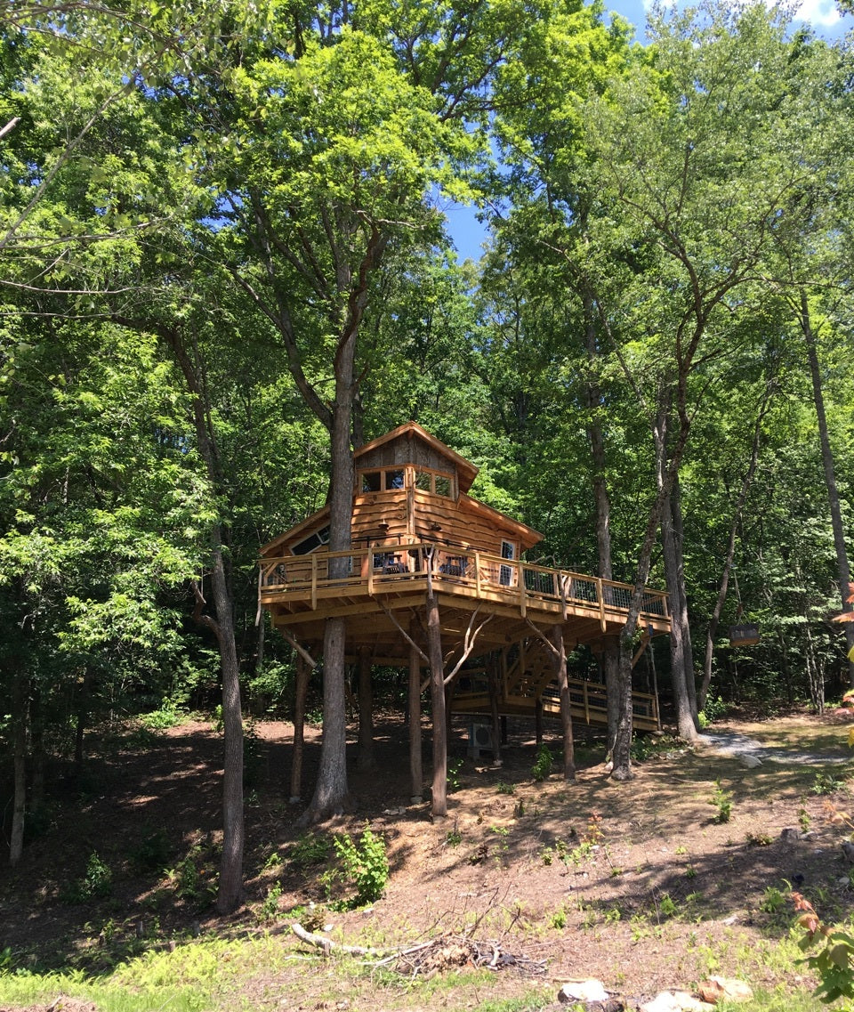 The Blue Ridge TreeHouse, authentic treehouse rental in Blue Ridge, GA overlooking Bear Claw Vineyards.