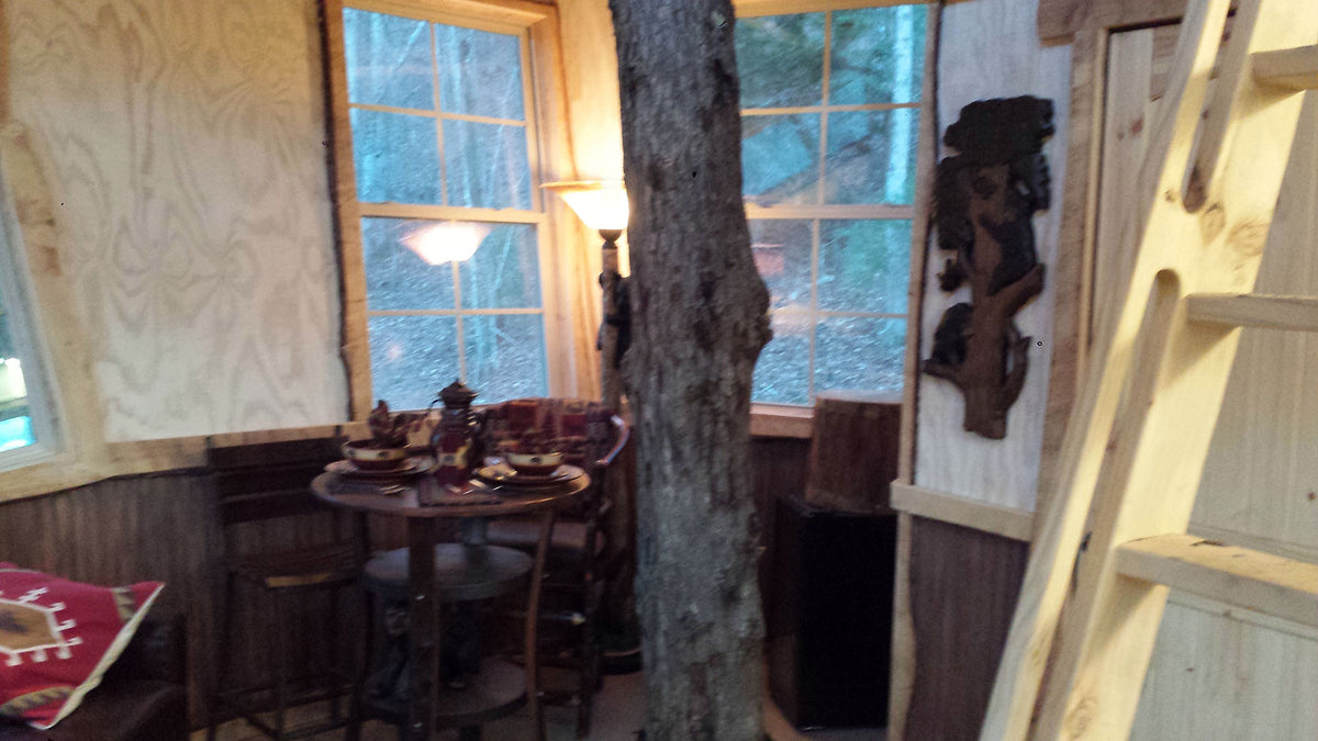 Blue Ridge Treehouse Rental | Blueridge Cabin Rentals
