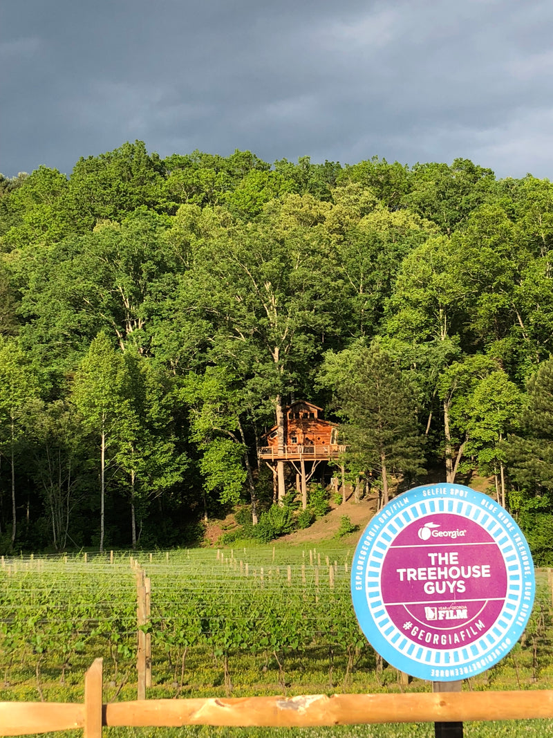 Blue Ridge Tree Man Gallery – Blue Ridge Treehouse