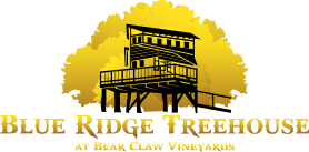 Blue Ridge Treehouse